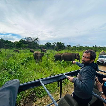 Minneriya Jeep Safari ハバラナ エクステリア 写真